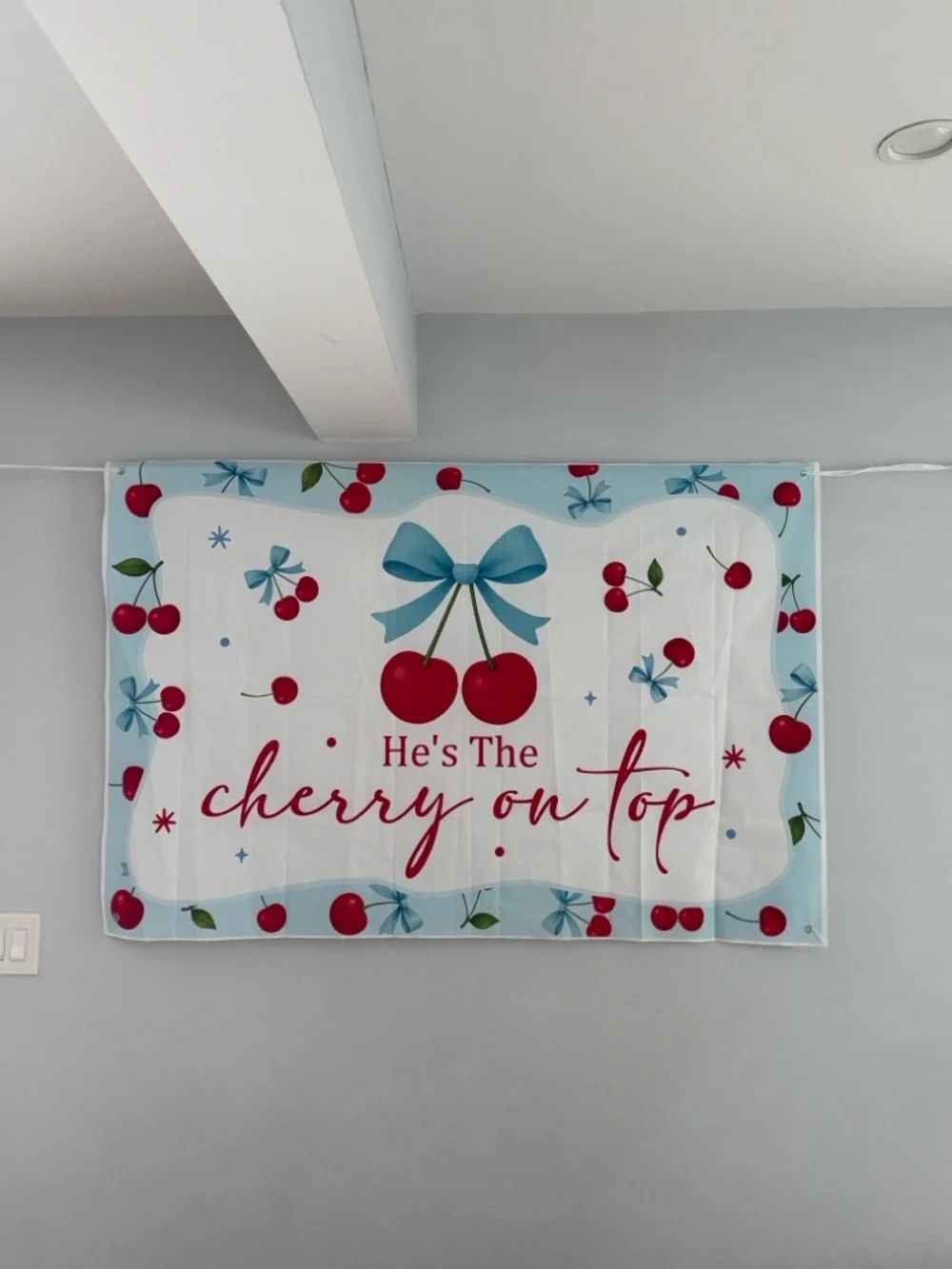 He Is the Cherry On Top Party Backdrop Banner plus 6 Ceramic Cherry Vases